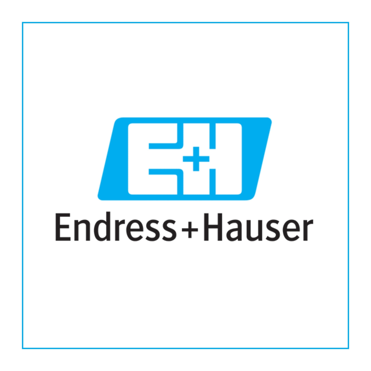 Endress + Hauser