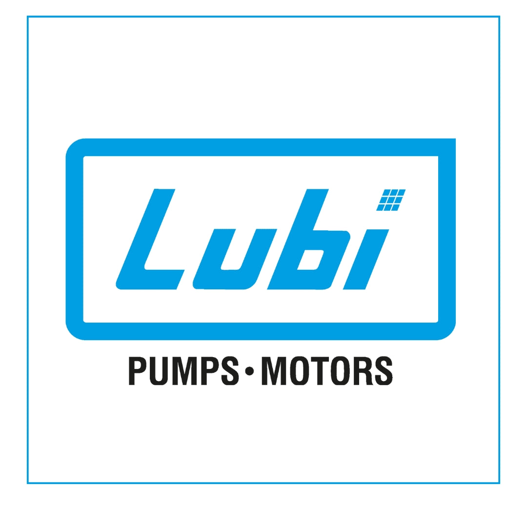 Lubi Electronics