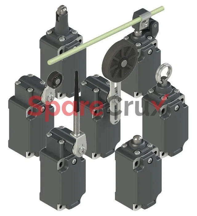 FP 1131-M2R24 | PIZZATO | Elettrica Limit Switch with Roller Lever